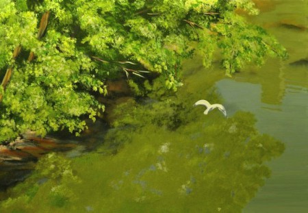 Vizek vándora  35x50 cm